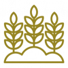 Horticultural Companies Horticultural Companies